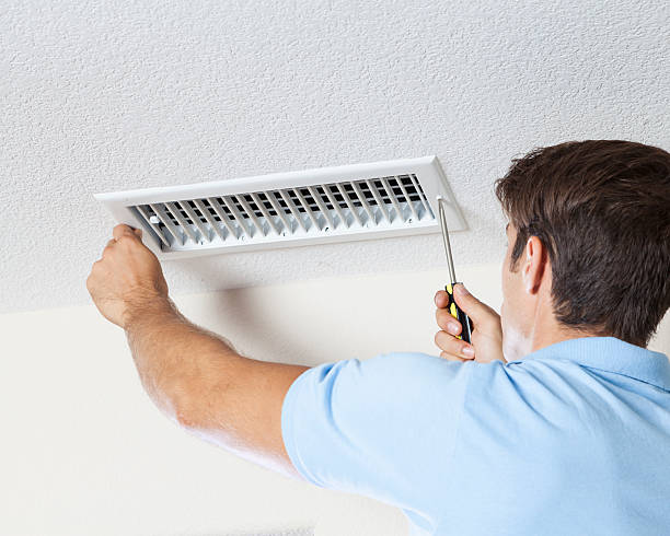 Best Industrial Mold Remediation  in University Place, WA