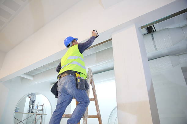 Best Emergency Mold Remediation  in University Place, WA