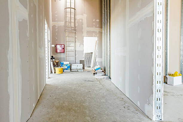 Best Air Quality Testing for Mold Spores  in University Place, WA
