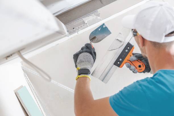Best Mold Removal for HVAC Installations  in University Place, WA